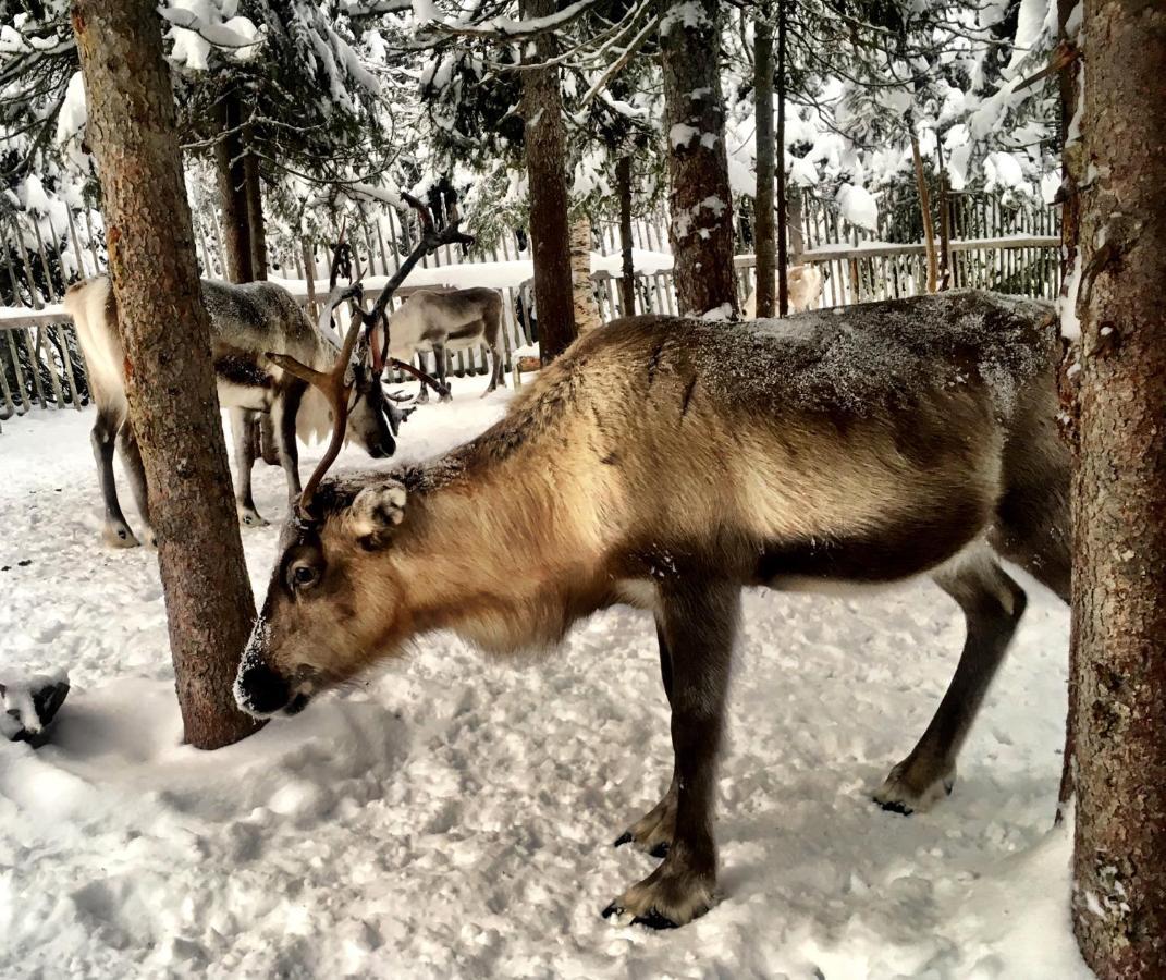 Ruka Chalet Oliver Екстер'єр фото